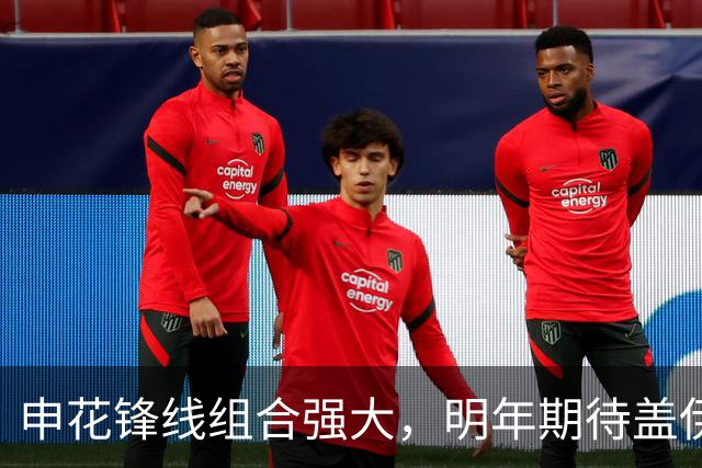申花锋线组合强大，明年期待盖伊加入再添火力